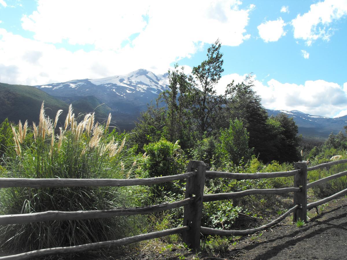 Vista Hermosa Conguillio Villa Kültér fotó